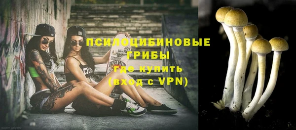 apvp Беломорск