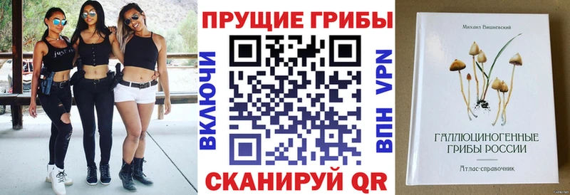 Псилоцибиновые грибы Psilocybine cubensis  Маркс 